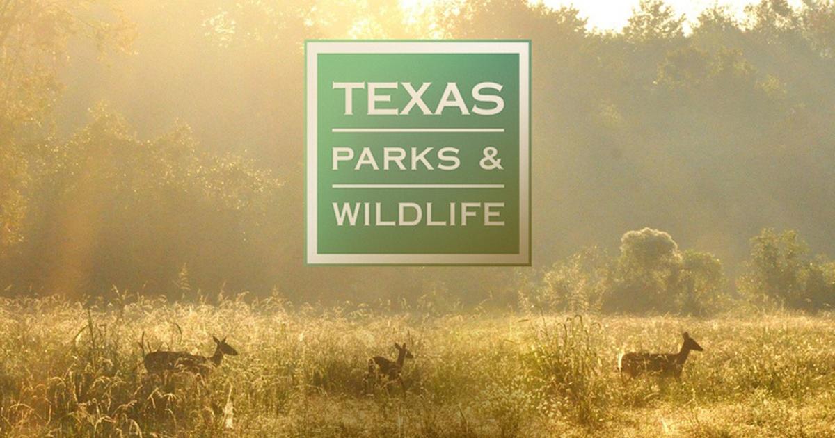Thumbnail image for Texas Parks & Wildlife Show #3107