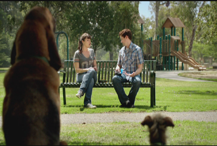 Thumbnail image for Pet Adoption - "Park" PSA