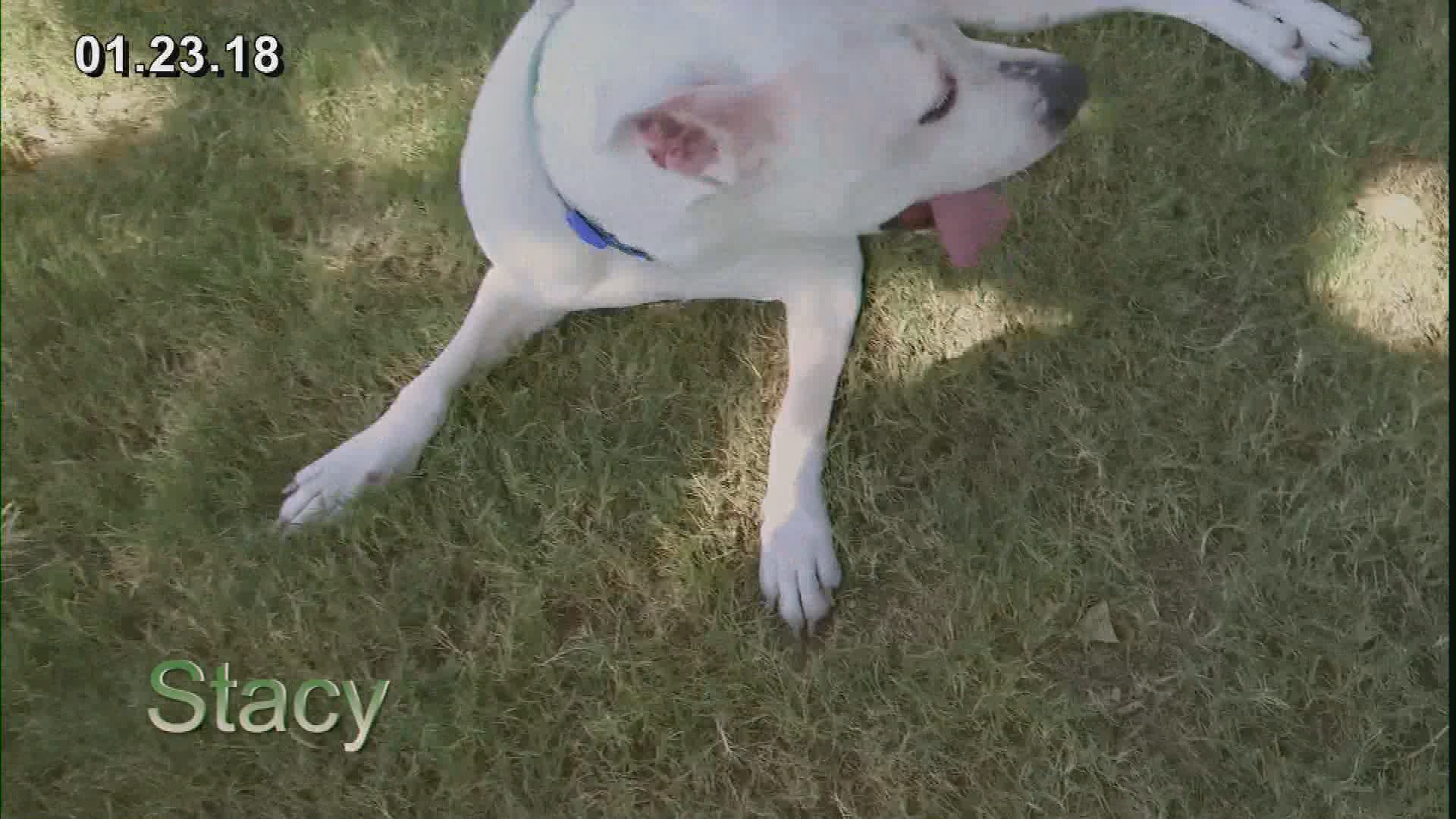 Thumbnail image for City Council Meeting 1-23-2018